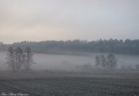 /album/bildgalleri/rosenholm-0-jpg/
